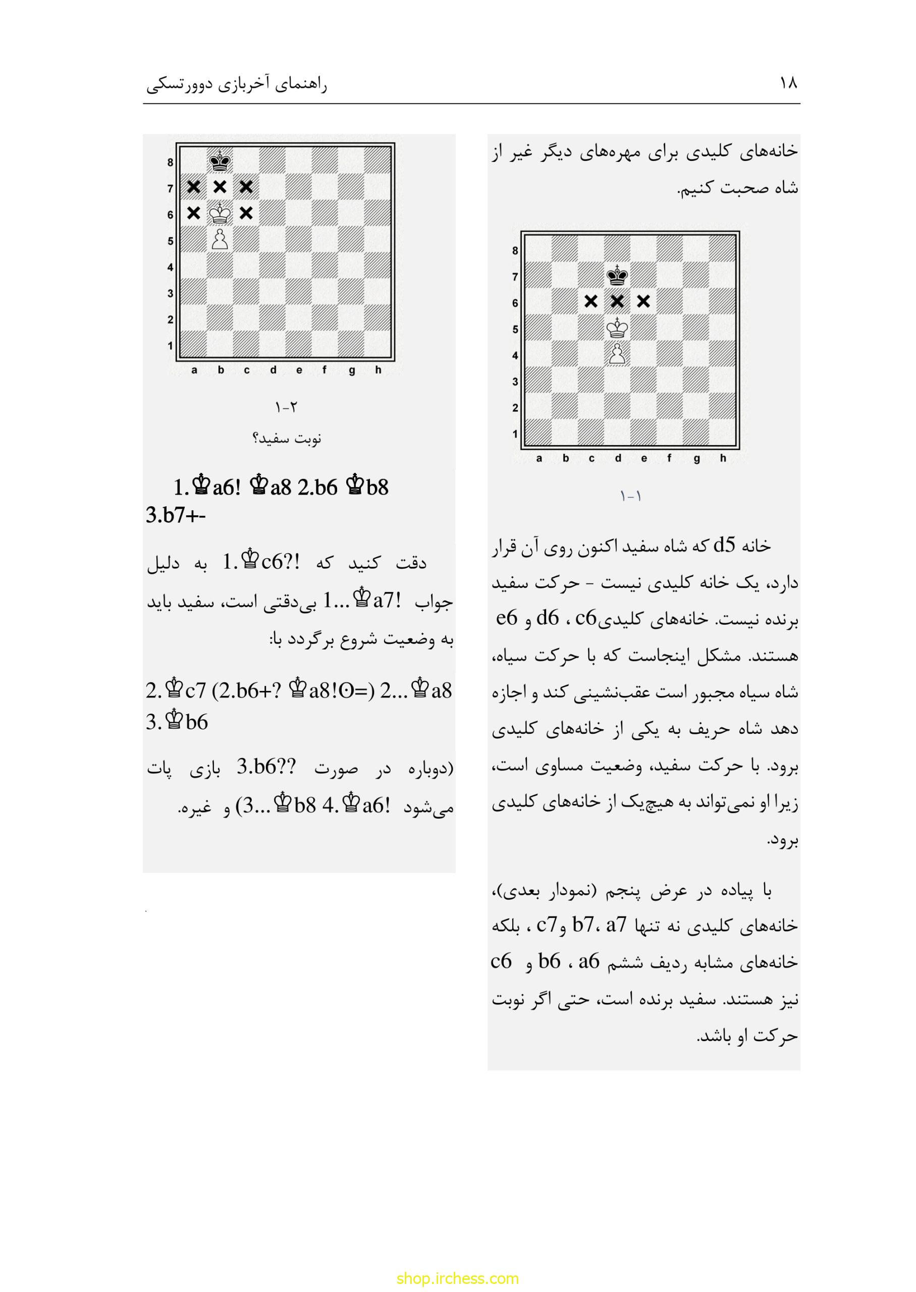 راهنمای آخربازی دوورتسکی - جلد اول (نسخه چاپی) - تصویر 25