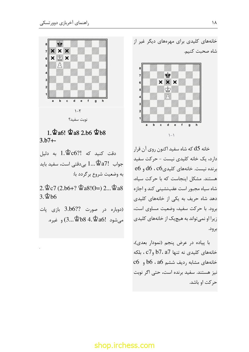 راهنمای آخربازی دوورتسکی - جلد اول (نسخه چاپی) - تصویر 27