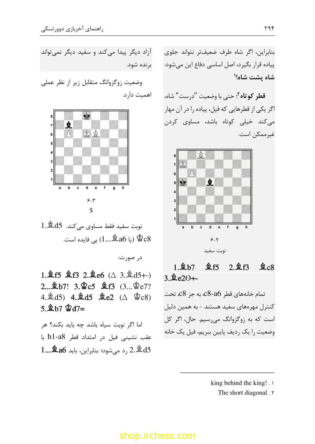 راهنمای آخربازی دوورتسکی - جلد اول (نسخه چاپی) - تصویر 46